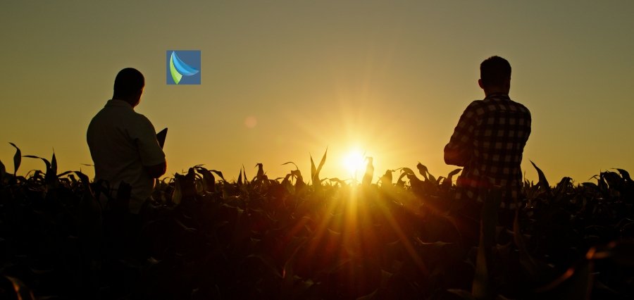 Agricultural, Market Awareness